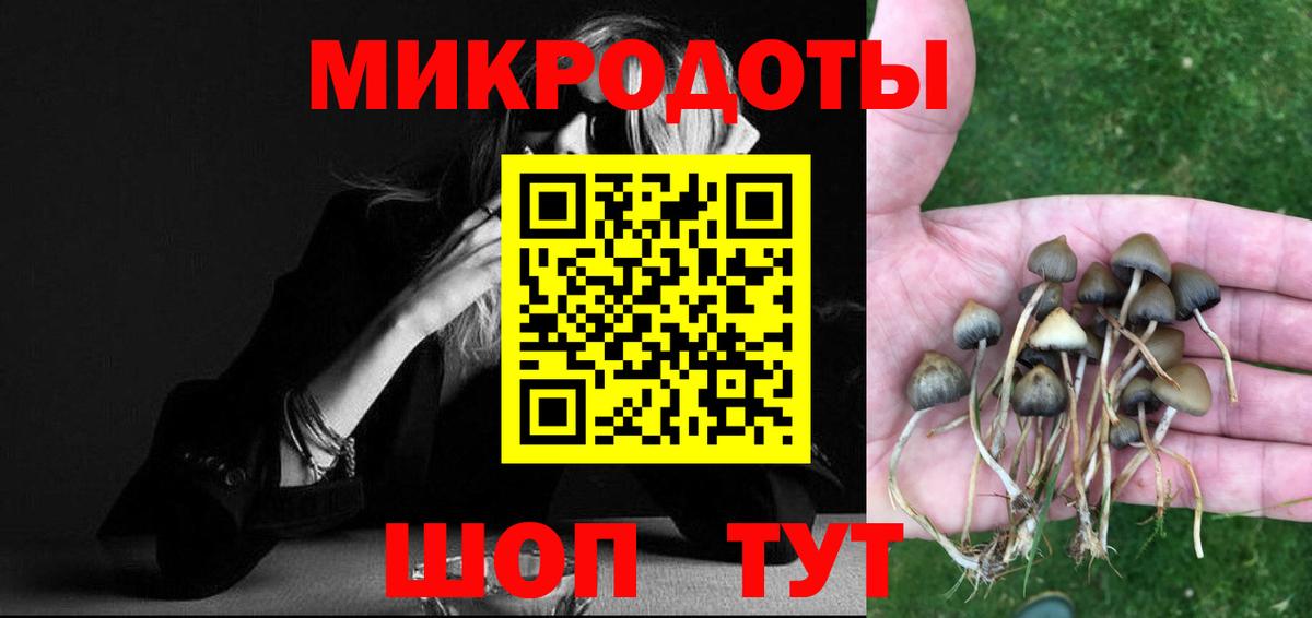 Псилоцибиновые грибы Psilocybine cubensis Арсеньев